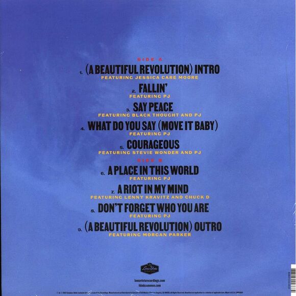 Common - A Beautiful Revolution Part 1 - Vinyl LP - Picture 2 of 2